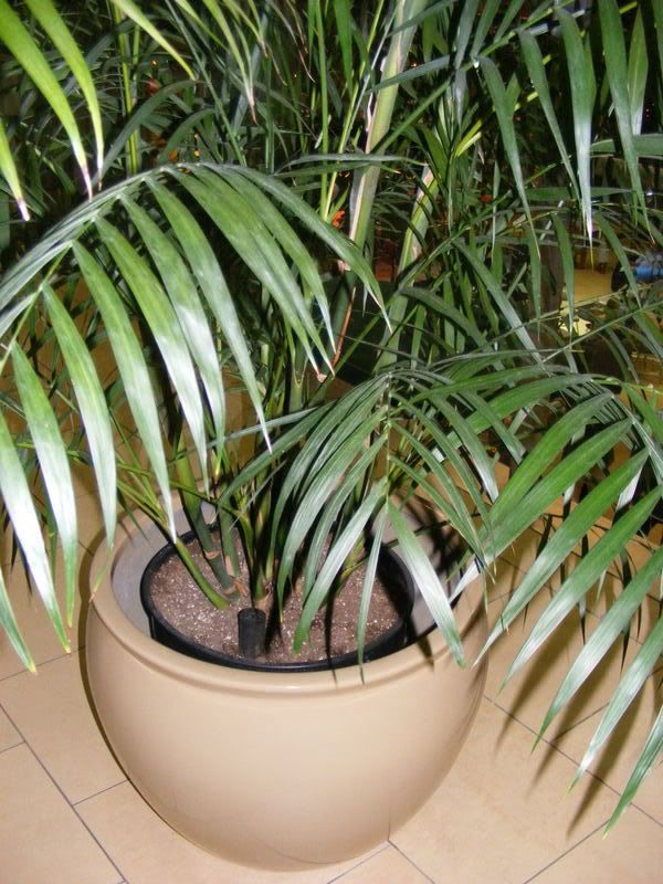 DSCF5570.jpg