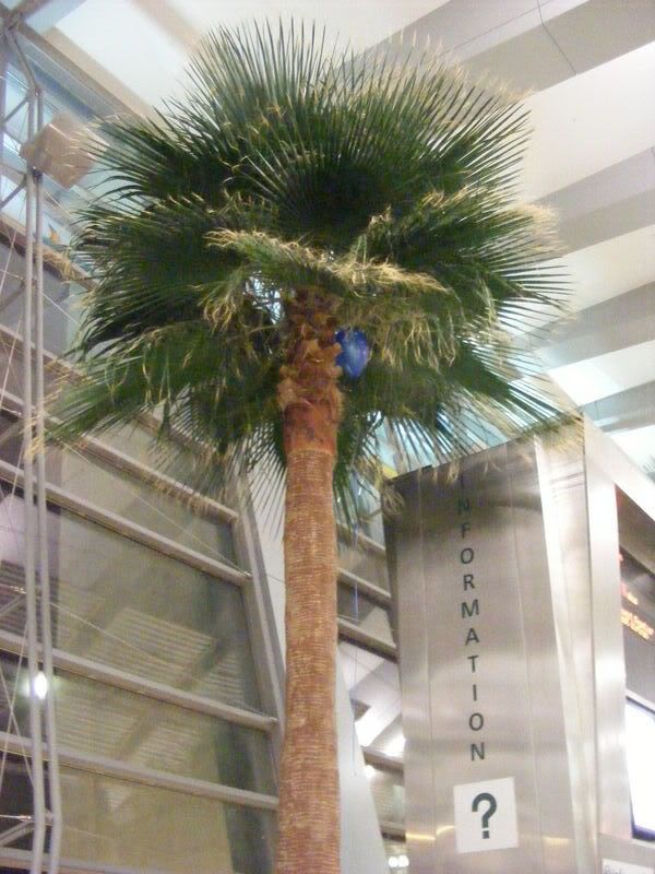 DSCF5572.jpg