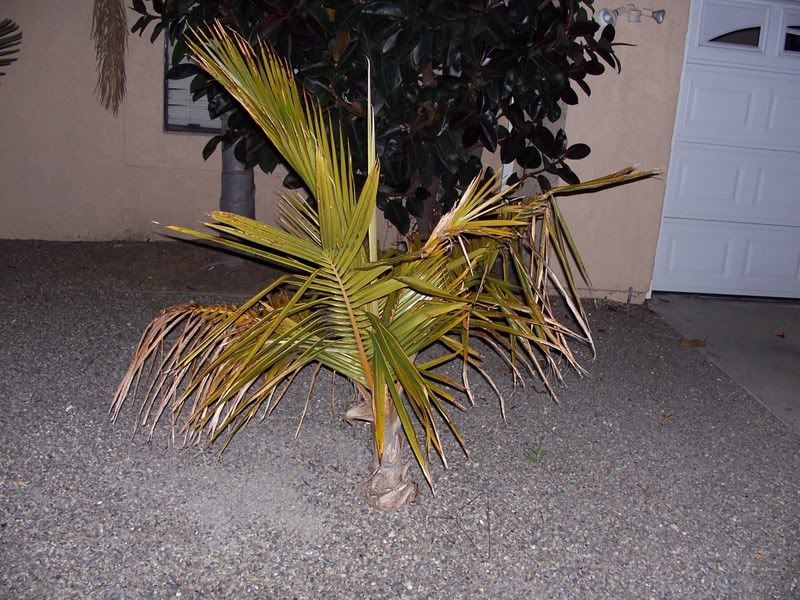 100_2901.jpg