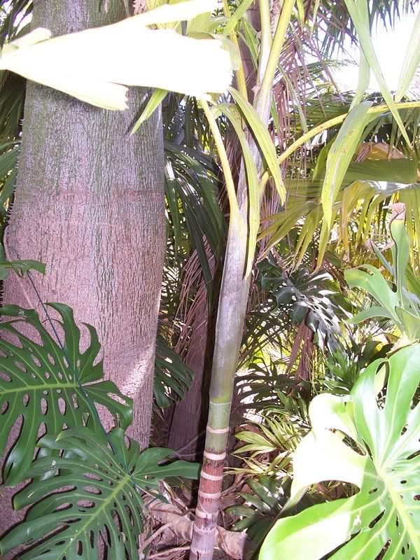 100_2930.jpg