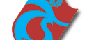 trabzonspor.png