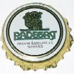 RADEGAST PIVOVAR RADEGAST A.S. NOSOVICE RRK IX