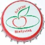 Biaystok BZPOW B-013 b.s.