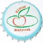 Biaystok BZPOW B-014 b.s.
