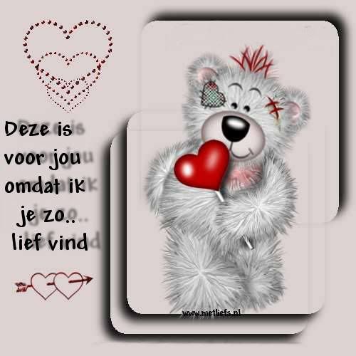 [img width=500 height=500]http://i36.photobucket.com/albums/e8/chicky23/pic_2005-11-27_111820.jpg[/img]