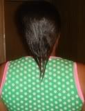 DryHair4.1-1.jpg