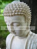buddhawg.jpg
