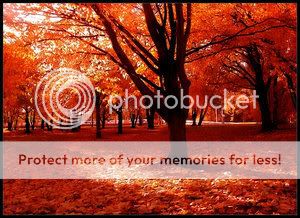 autumn Pictures, Images and Photos
