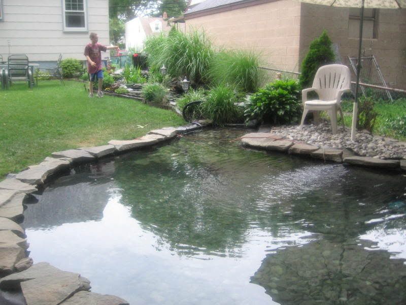 5000 gallon pond | Cichlid Fish Forum