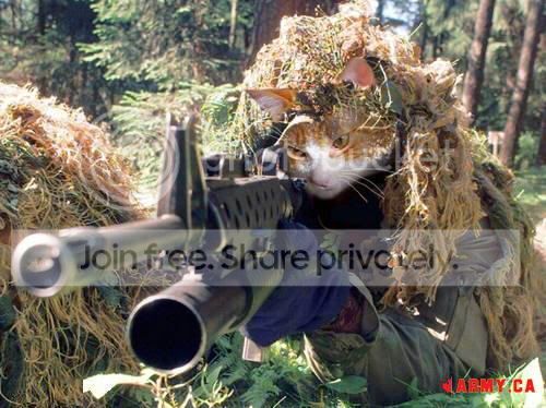 SniperCat.jpg