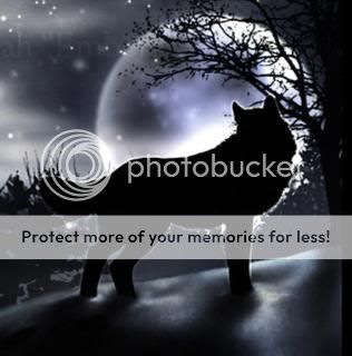 wolves Pictures, Images and Photos