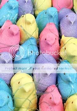 easter peeps marshmallow Pictures, Images and Photos