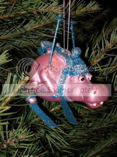 IMG_1071.jpg