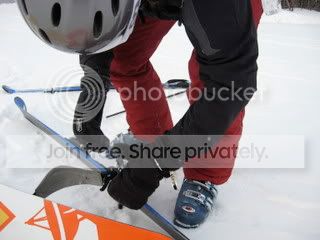 IMG_1510.jpg
