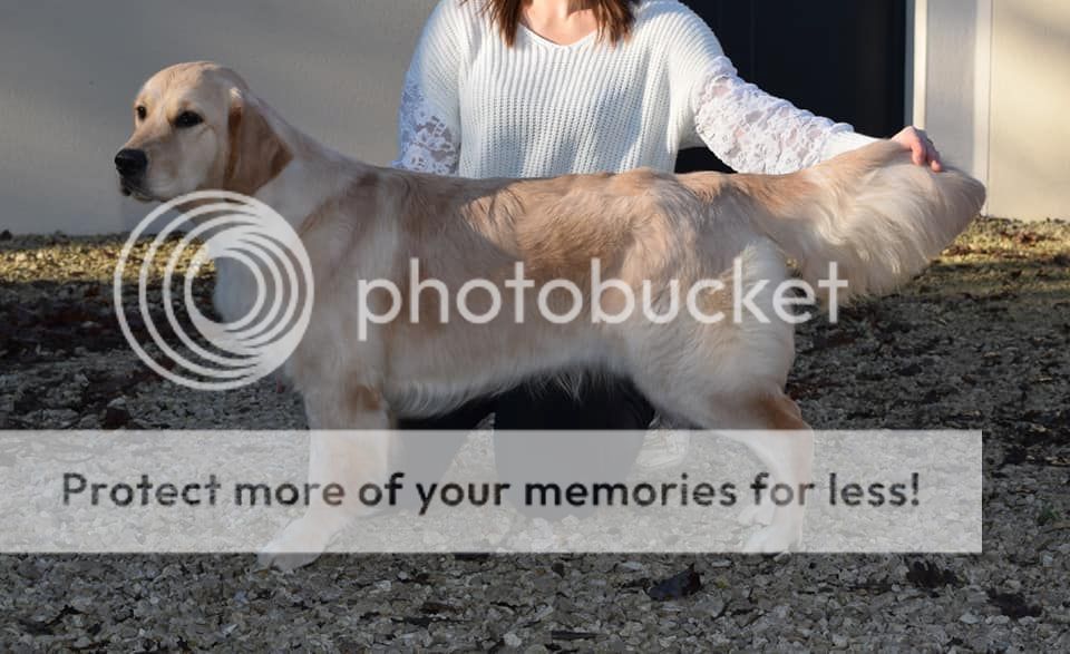 Photobucket - Video and Image Hosting