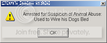 dogtrixie.png