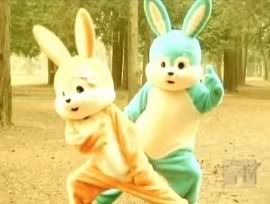 Lovey dovey bunny sidekicks!