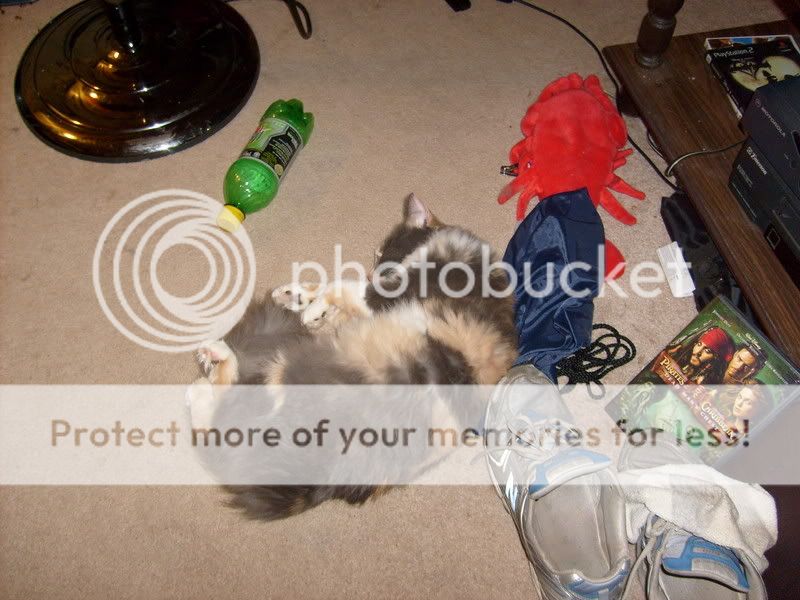 User Image