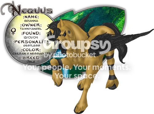 User Image