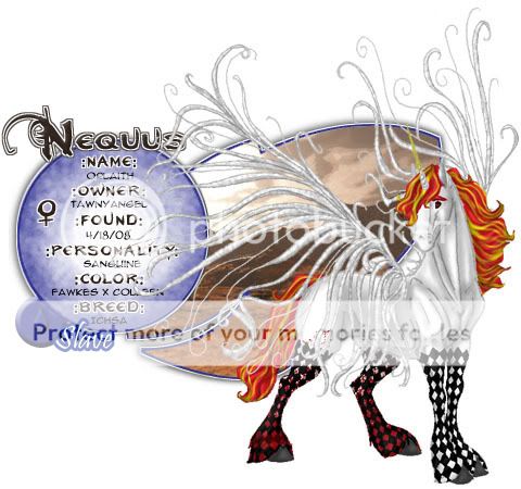User Image