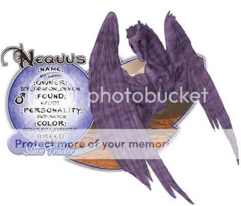 User Image