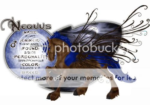 User Image