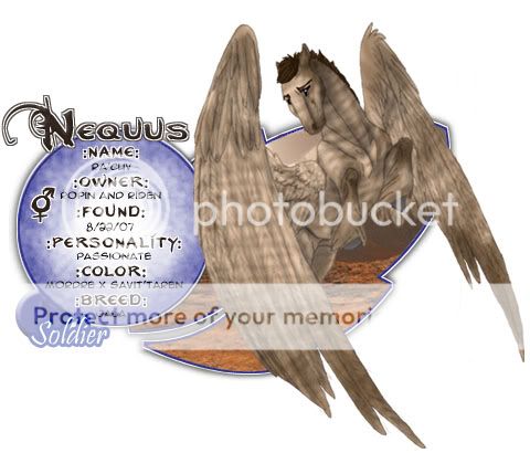 User Image