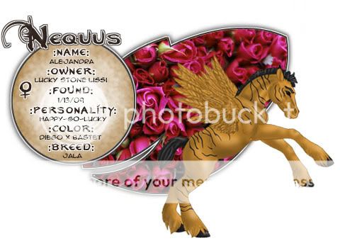 User Image