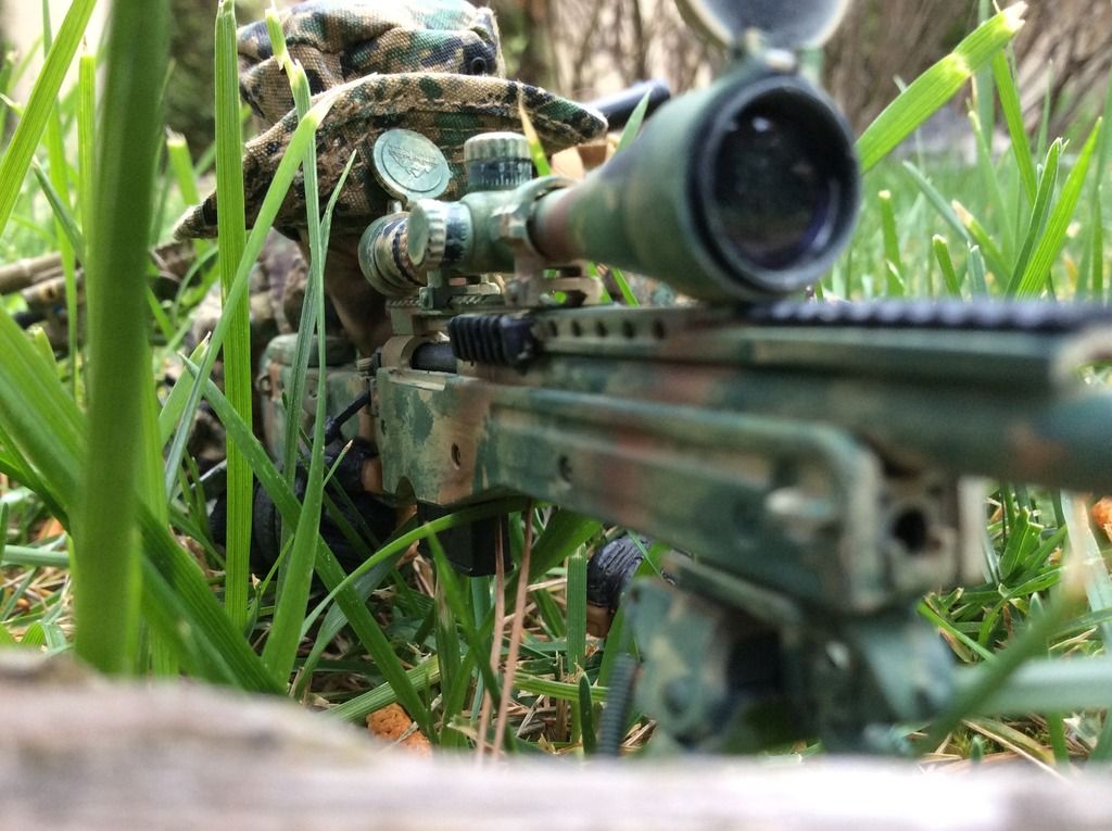 Modern War (1990s to Present) - MARSOC Raider- Scout Sniper 2015-16 ...