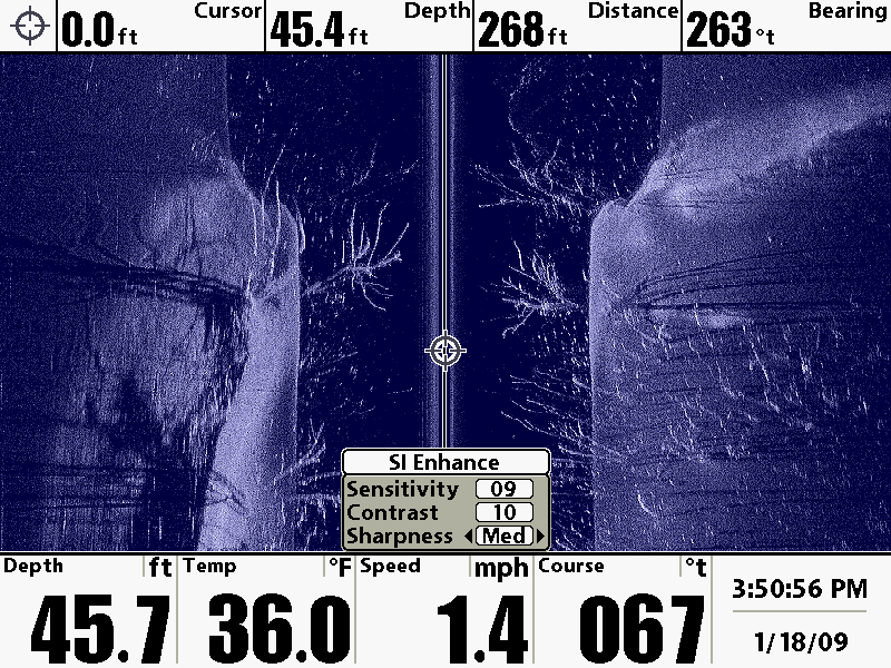 Understanding the Side Imaging View made easy...